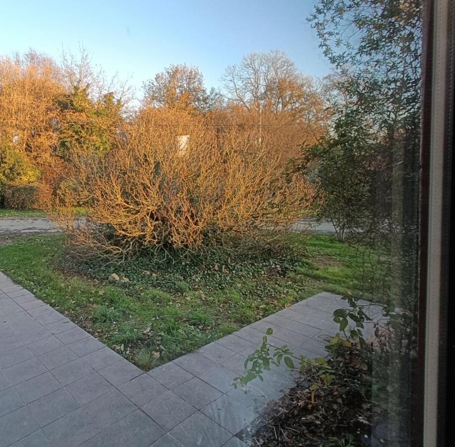 Domaine Minio Bihan Pluvigner Kültér fotó